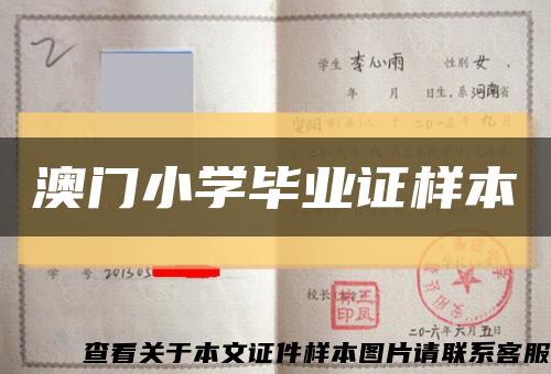 澳门小学毕业证样本缩略图