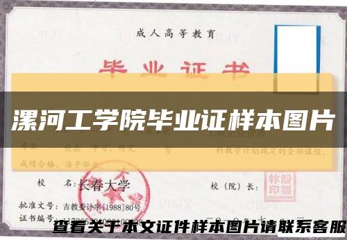 漯河工学院毕业证样本图片缩略图