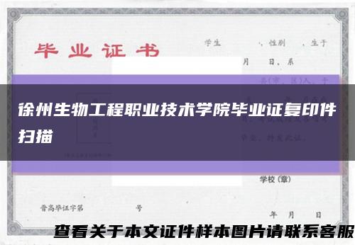 徐州生物工程职业技术学院毕业证复印件扫描缩略图