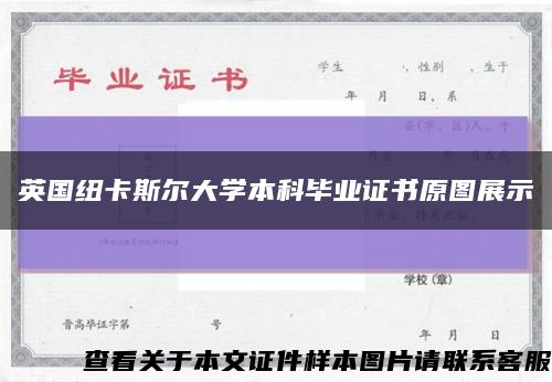 英国纽卡斯尔大学本科毕业证书原图展示缩略图
