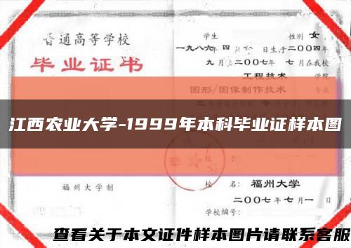 江西农业大学-1999年本科毕业证样本图缩略图