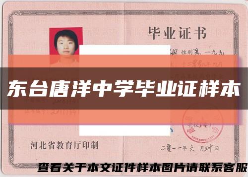 东台唐洋中学毕业证样本缩略图
