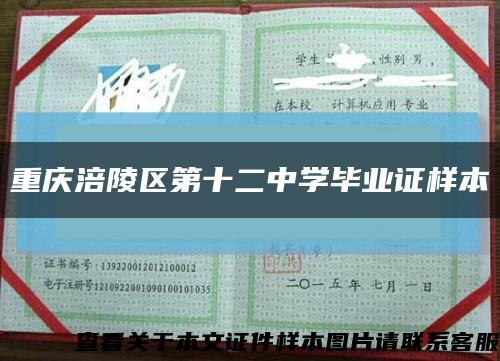 重庆涪陵区第十二中学毕业证样本缩略图