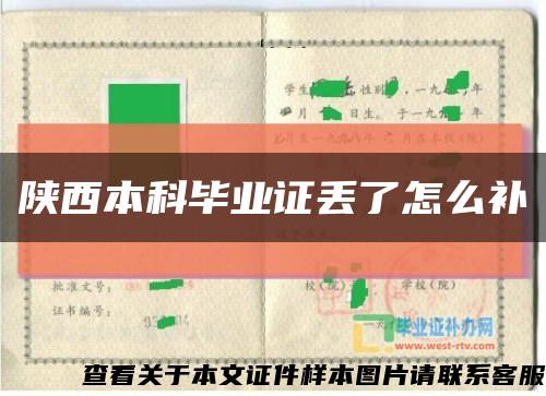 陕西本科毕业证丢了怎么补缩略图