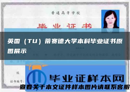 英国（TU）蒂赛德大学本科毕业证书原图展示缩略图