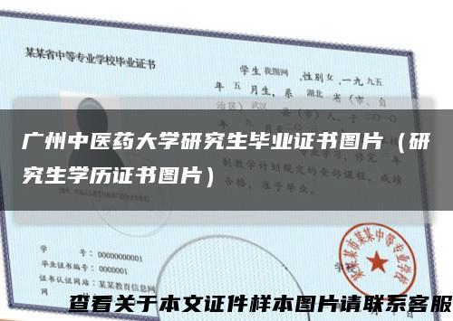 广州中医药大学研究生毕业证书图片（研究生学历证书图片）缩略图