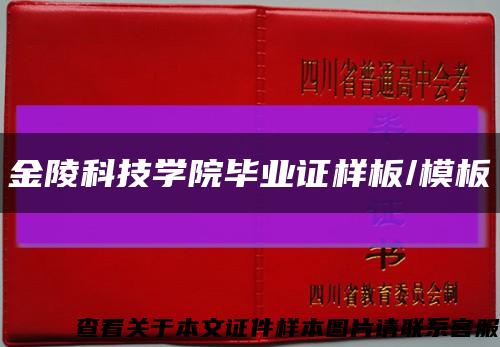 金陵科技学院毕业证样板/模板缩略图