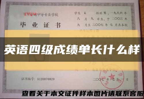英语四级成绩单长什么样缩略图