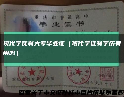 现代学徒制大专毕业证（现代学徒制学历有用吗）缩略图