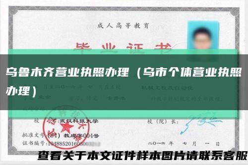 乌鲁木齐营业执照办理（乌市个体营业执照办理）缩略图