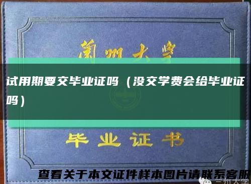 试用期要交毕业证吗（没交学费会给毕业证吗）缩略图