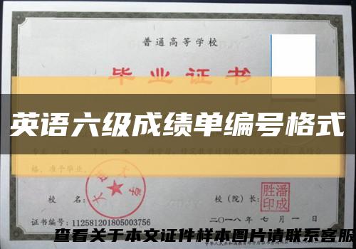 英语六级成绩单编号格式缩略图