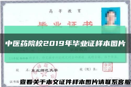 中医药院校2019年毕业证样本图片缩略图
