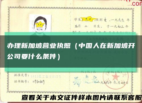 办理新加坡营业执照（中国人在新加坡开公司要什么条件）缩略图