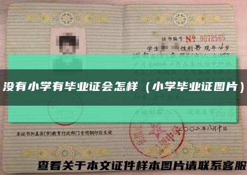 没有小学有毕业证会怎样（小学毕业证图片）缩略图