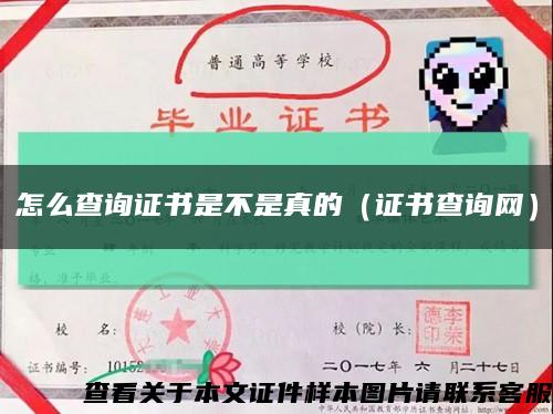 怎么查询证书是不是真的（证书查询网）缩略图