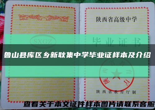 鲁山县库区乡新耿集中学毕业证样本及介绍缩略图