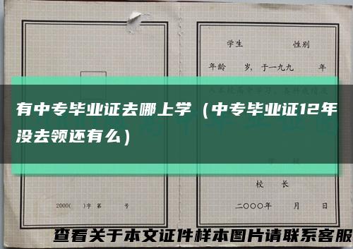 有中专毕业证去哪上学（中专毕业证12年没去领还有么）缩略图