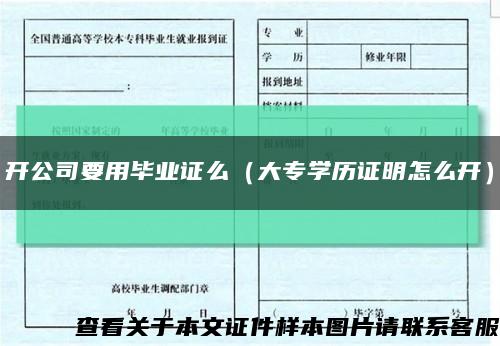 开公司要用毕业证么（大专学历证明怎么开）缩略图