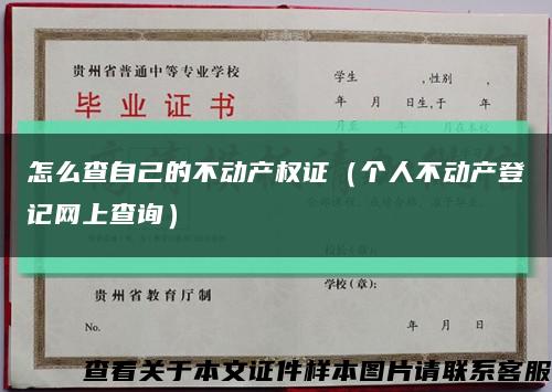 怎么查自己的不动产权证（个人不动产登记网上查询）缩略图