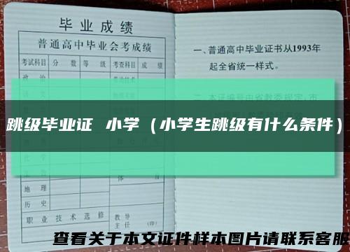 跳级毕业证 小学（小学生跳级有什么条件）缩略图