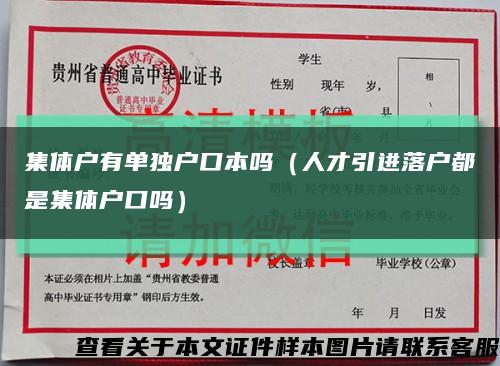 集体户有单独户口本吗（人才引进落户都是集体户口吗）缩略图