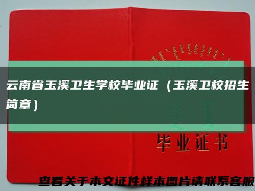 云南省玉溪卫生学校毕业证（玉溪卫校招生简章）缩略图