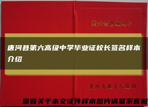 唐河县第六高级中学毕业证校长签名样本介绍缩略图