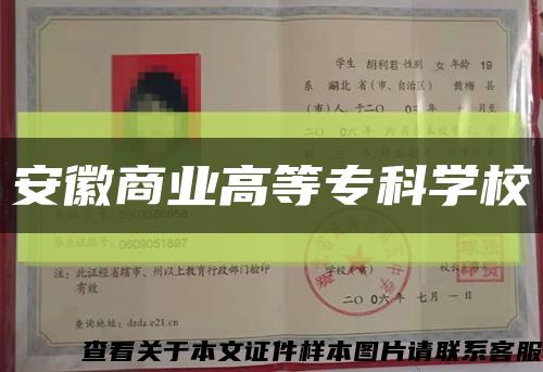 安徽商业高等专科学校缩略图
