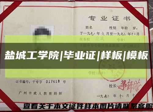 盐城工学院|毕业证|样板|模板缩略图