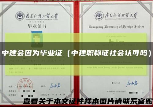 中建会因为毕业证（中建职称证社会认可吗）缩略图