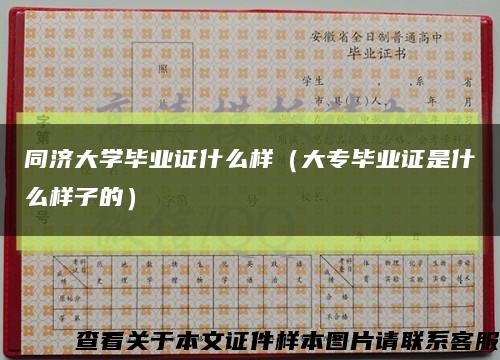 同济大学毕业证什么样（大专毕业证是什么样子的）缩略图
