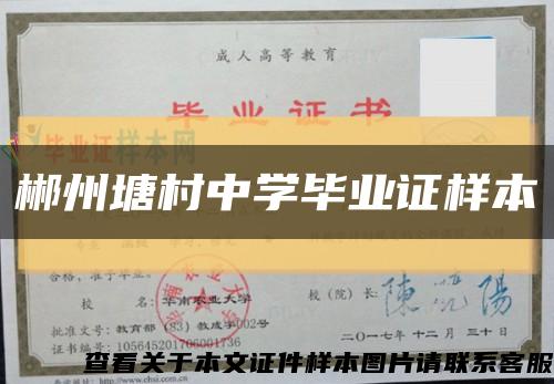 郴州塘村中学毕业证样本缩略图