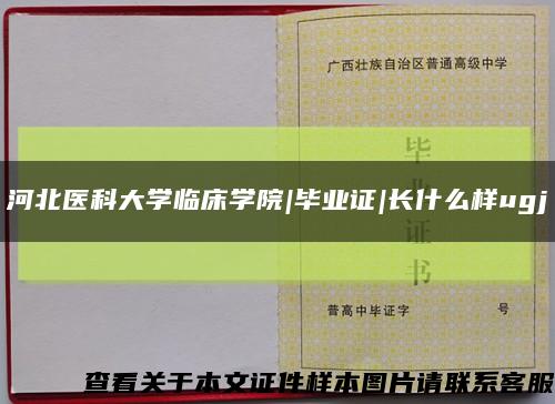 河北医科大学临床学院|毕业证|长什么样ugj缩略图