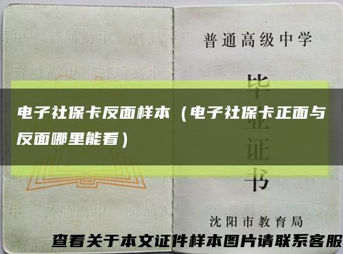 电子社保卡反面样本（电子社保卡正面与反面哪里能看）缩略图