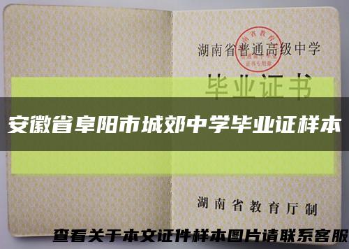 安徽省阜阳市城郊中学毕业证样本缩略图