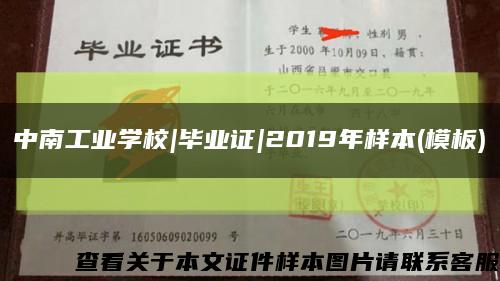 中南工业学校|毕业证|2019年样本(模板)缩略图