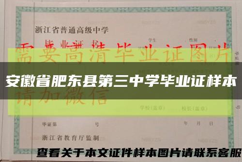 安徽省肥东县第三中学毕业证样本缩略图