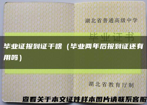 毕业证报到证干啥（毕业两年后报到证还有用吗）缩略图