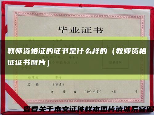 教师资格证的证书是什么样的（教师资格证证书图片）缩略图