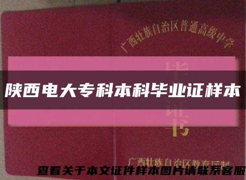 陕西电大专科本科毕业证样本缩略图