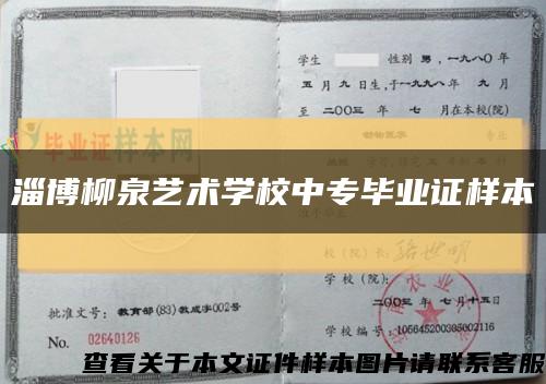 淄博柳泉艺术学校中专毕业证样本缩略图