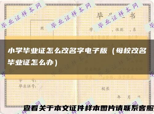 小学毕业证怎么改名字电子版（母校改名毕业证怎么办）缩略图