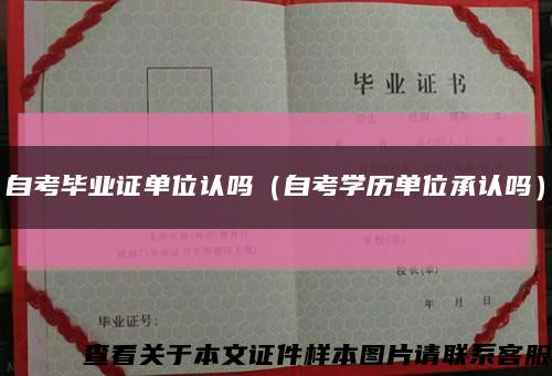 自考毕业证单位认吗（自考学历单位承认吗）缩略图