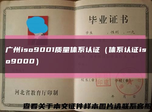 广州iso9001质量体系认证（体系认证iso9000）缩略图