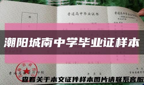 潮阳城南中学毕业证样本缩略图
