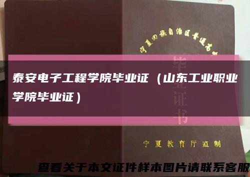 泰安电子工程学院毕业证（山东工业职业学院毕业证）缩略图