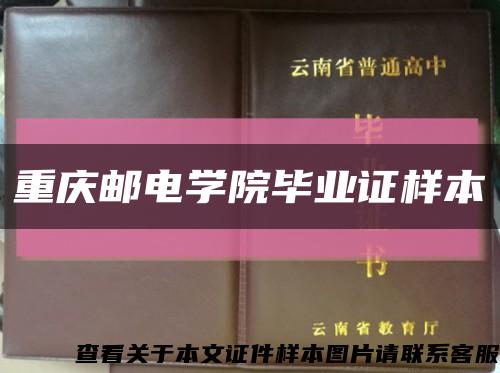 重庆邮电学院毕业证样本缩略图