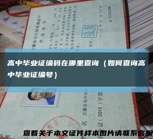 高中毕业证编码在哪里查询（如何查询高中毕业证编号）缩略图
