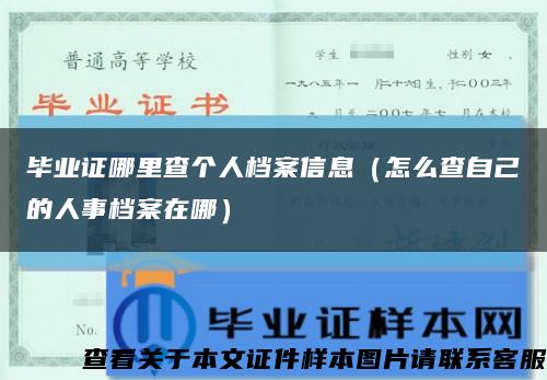 毕业证哪里查个人档案信息（怎么查自己的人事档案在哪）缩略图